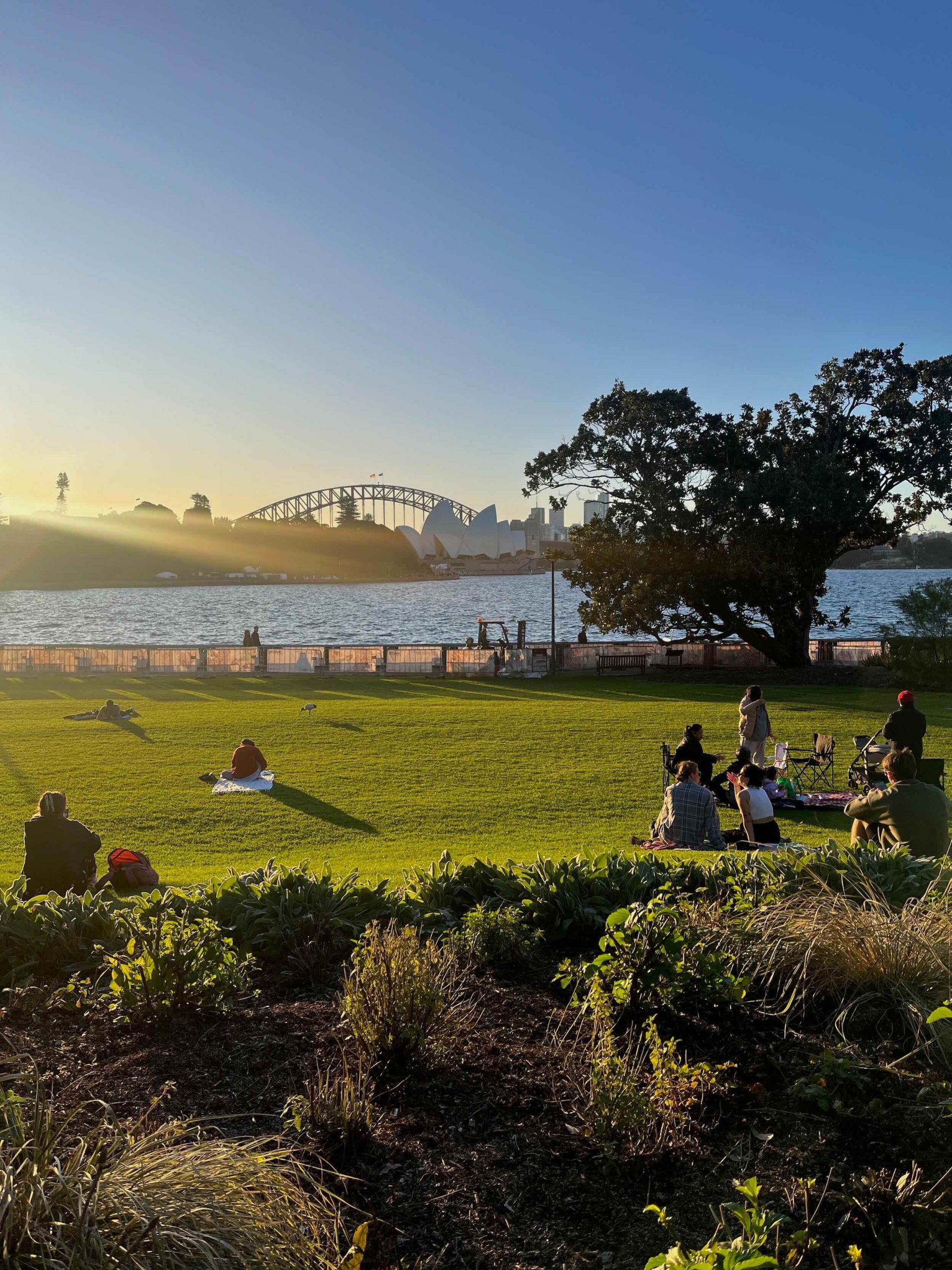 A view of Sydney Harbour Bridge from the Sydney Royal Botanic Garden